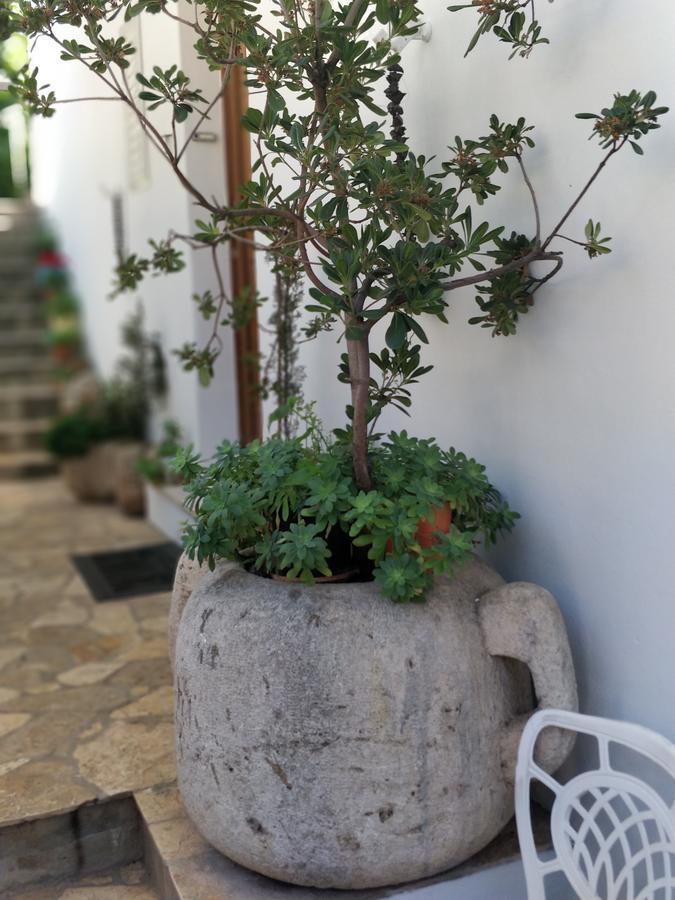 Adriatic Apartments Dubrovnik Luaran gambar